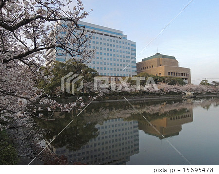 佐賀県庁 佐賀県庁 15695478