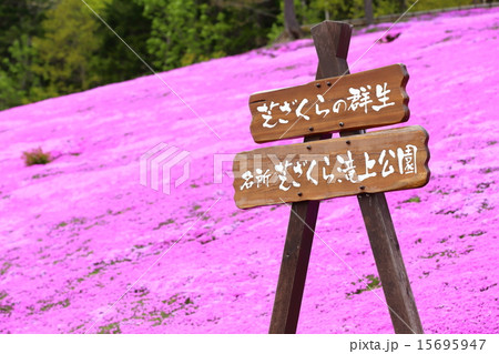 芝ざくら公園 芝ざくら公園 15695947