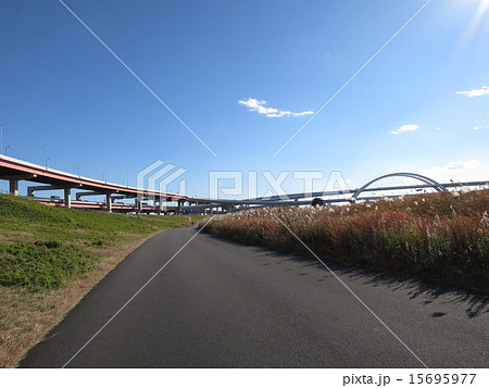 秋の荒川河川敷 秋の荒川河川敷 15695977