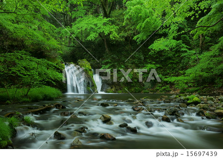 岡山県新庄村の不動滝（女滝） 15697439
