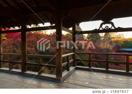 東福寺の紅葉 15697657
