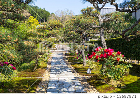 圓光寺 - 新緑 圓光寺 - 新緑 15697971