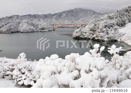 雪景色の宮ヶ瀬湖 15699016