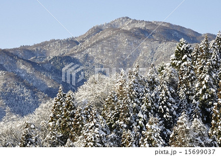 雪化粧した本間ノ頭 15699037