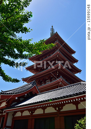 晴れた日の浅草寺 五重塔 晴れた日の浅草寺 五重塔 15699148