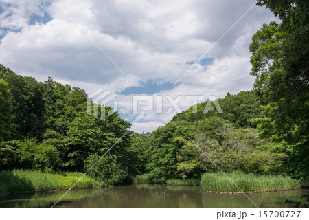 谷戸山公園 15700727