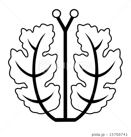 神家　神家　上原氏　 15700741