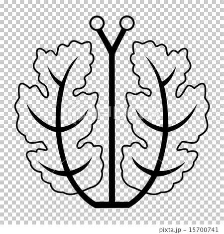 神家　神家　上原氏　 15700741