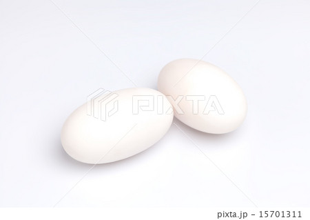 crocodile alligator eggs group white background 15701311