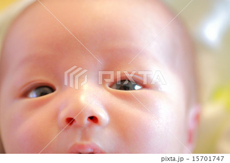 新生児 15701747