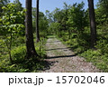 林道 15702046