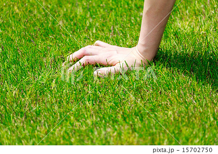 芝生に手をつく女性の写真素材