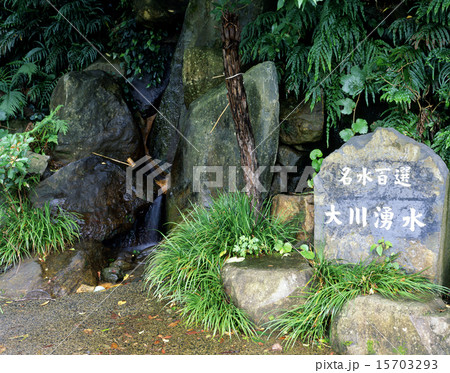屋久島 大川湧水 屋久島 大川湧水 15703293