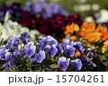 花畑 15704261