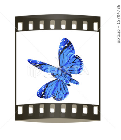 Butterfly. The film strip Butterfly. The film strip 15704786