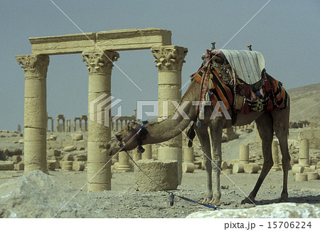 SYRIA PALMYRA ROMAN RUINS 15706224