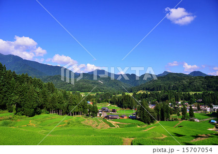 北五百川の棚田(新潟県) 北五百川の棚田(新潟県) 15707054