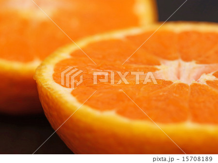 カラマンダリン 15708189