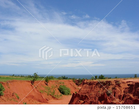 ベトナムのニャチャン「レッドサンドゥーン」の風景　オアシスで休憩する馬 15708651