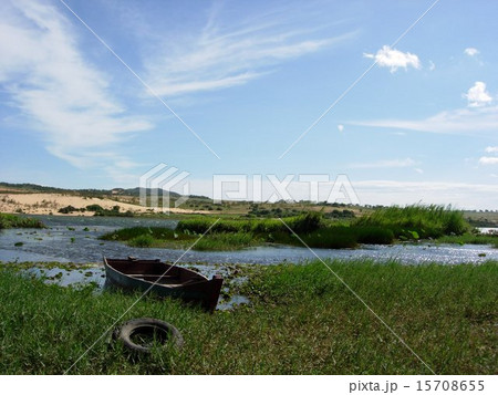 ベトナムのニャチャン「オアシス」の風景　オアシスで休憩する馬 15708655