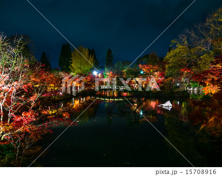 永観堂の紅葉ライトアップ 永観堂の紅葉ライトアップ 15708916