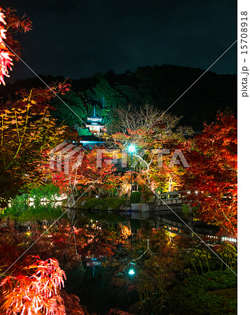 永観堂の紅葉ライトアップ 永観堂の紅葉ライトアップ 15708918