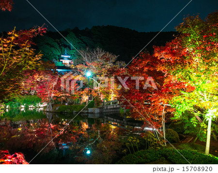 永観堂の紅葉ライトアップ 永観堂の紅葉ライトアップ 15708920