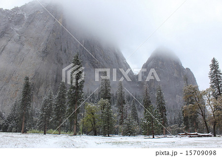 春雪の積もったヨセミテ国立公園 15709098