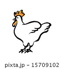 鶏のイラスト 15709102