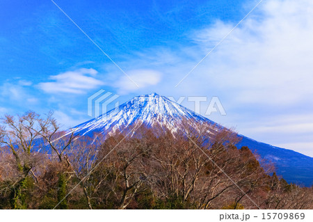 青空のもとにみる緑の森と富士山頂 青空のもとにみる緑の森と富士山頂 15709869