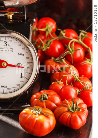 fresh tomatoes fresh tomatoes 15710159