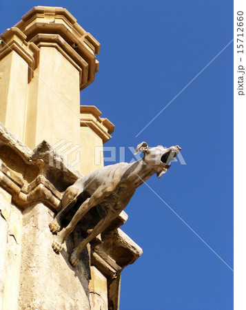 Castle gargoyle 15712660