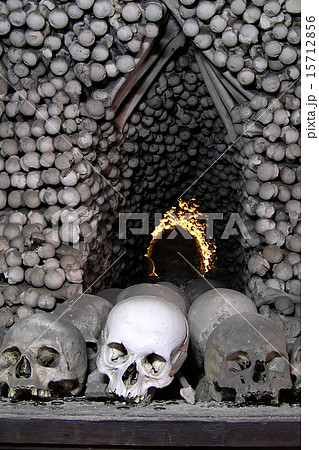 skulls and bones 15712856