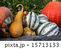 Pumpkins still-life with natural background 15713133