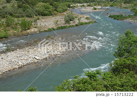 5月の高瀬川 15713222