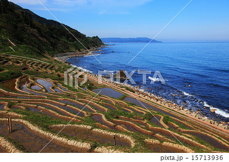 輪島の白米千枚田 15713936