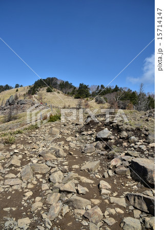 大菩薩嶺の登山道 15714147