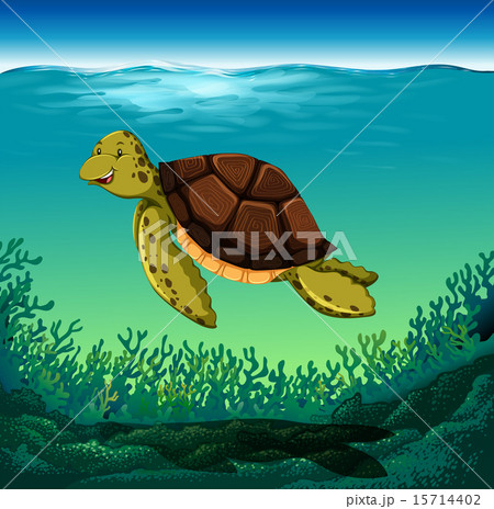 Turtle Turtle 15714402