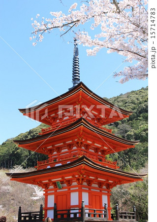 清水寺 15714783