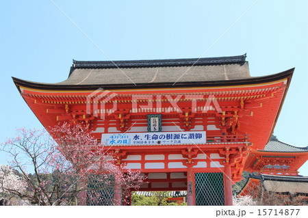 清水寺 清水寺 15714877