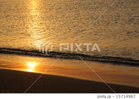 夕暮れ時のビーチ 15714967