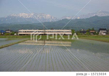 北アルプス・立山連峰を背景に走る地鉄電車 15715034