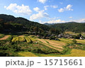 田舎の棚田 15715661