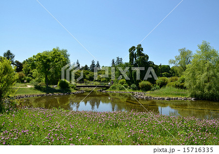 昭和記念公園 昭和記念公園 15716335