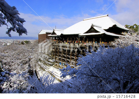 雪の清水寺 雪の清水寺 15716428