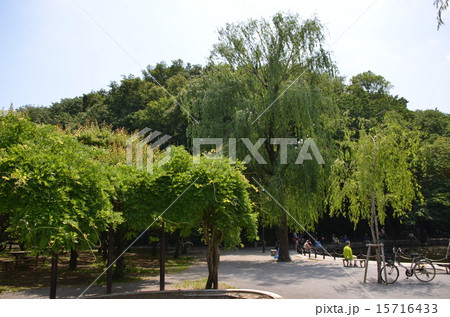 赤塚城 全景 赤塚城 全景 15716433