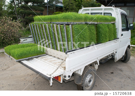 田植え(苗の運搬)2 田植え(苗の運搬)2 15720638