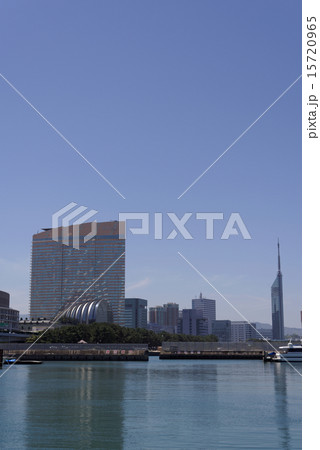 シーホークと福岡タワー 15720965