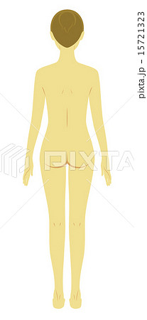 美容　女性　全身　ヌード　後姿 15721323