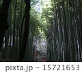 竹林 15721653